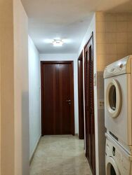 Palm Grove Condominium (D19), Condominium #378386961